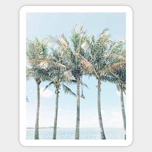 Tropical Palm Trees Sticker